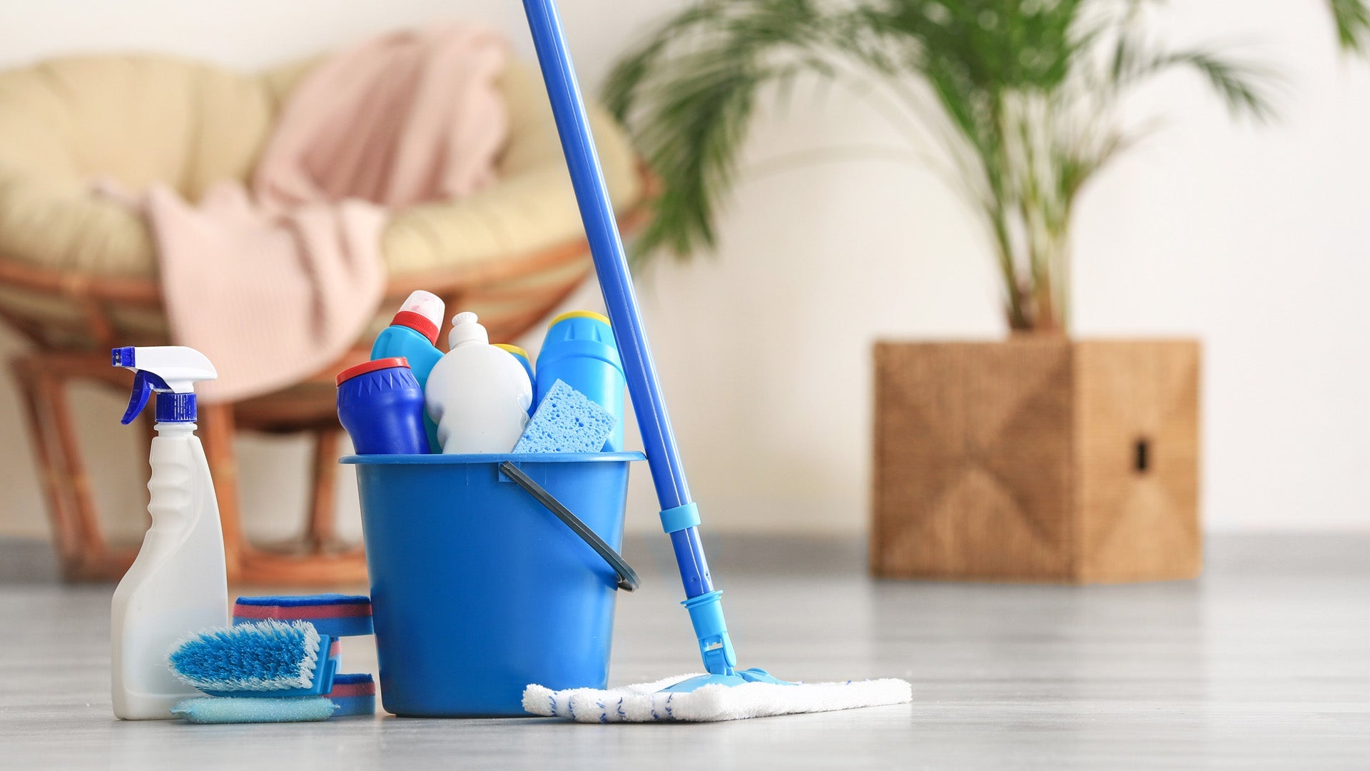 Recommended Cleaning Supplies for a Clean Cellar