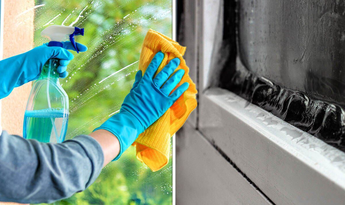 Effective Strategies for Cleaning and Maintaining Home Windows