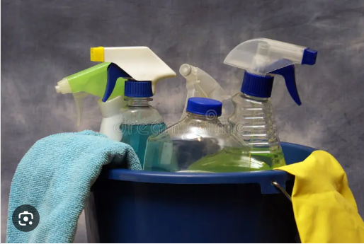 Top 10 House Cleaning Supplies You Need for a Tidy Sanctuary