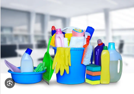 Dust to Shine Unveiling the Best House Cleaning Products of 2023