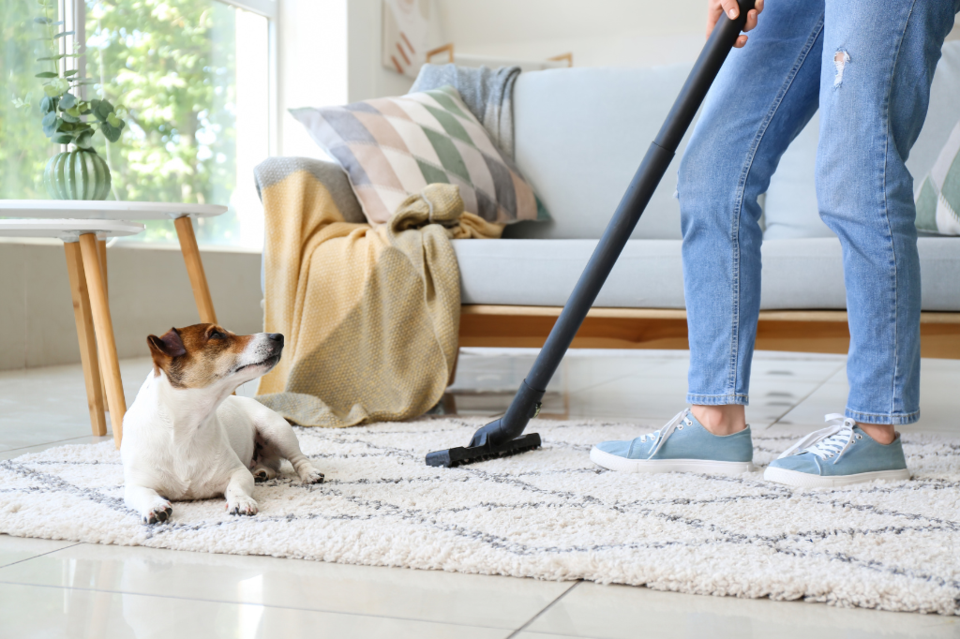 Room Cleaning Supplies for a Healthier Living Space