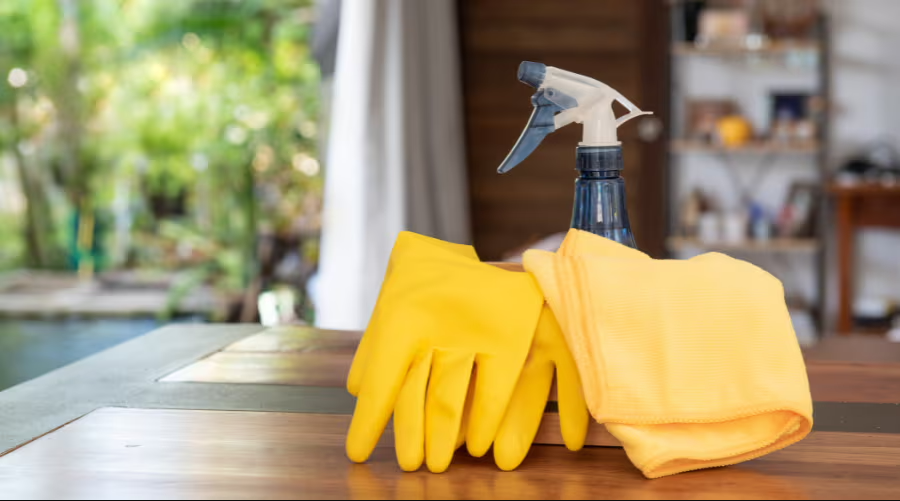 Recommended Cleaning Supplies for a Clean She Shed