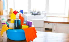 Maintaining Clean and Hygienic Environments