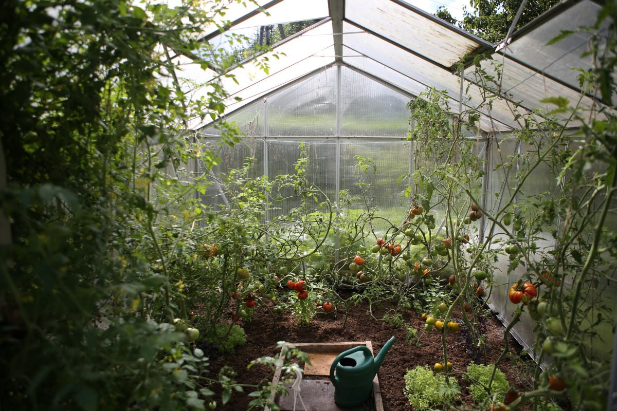 Smart Cleaning Supplies for a Clean Greenhouse