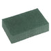 OATES -  NO 103, GREEN SCOURER PAD PK 10
