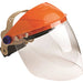 PSP - ASSEMBLED BROWGUARD W/CLEAR VISIOR