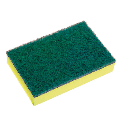 SABCO - 10PK SPONGE SCOURS - GREEN/GOLD