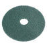 SABCO - 500MM SCRUBBING PAD GREEN
